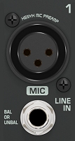 Microphone (Mono) Inputs Channel